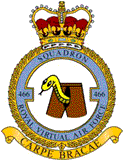 466 (F) (RAVAF) badge